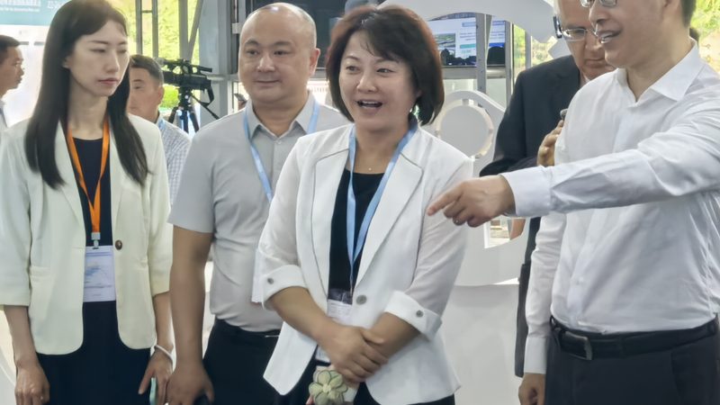 汽车用品品牌如何选？揭秘十大品牌背后的秘密